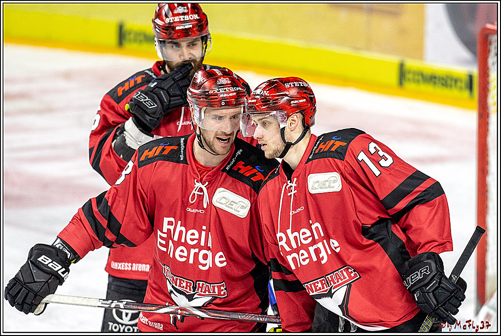 DEL-Playoff; Koelner Haie - ERC Ingolstadt, 17.03.2019